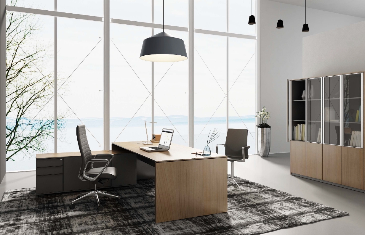 Executive Desk