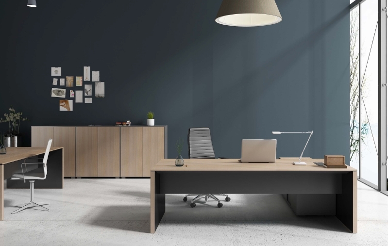Executive Desk