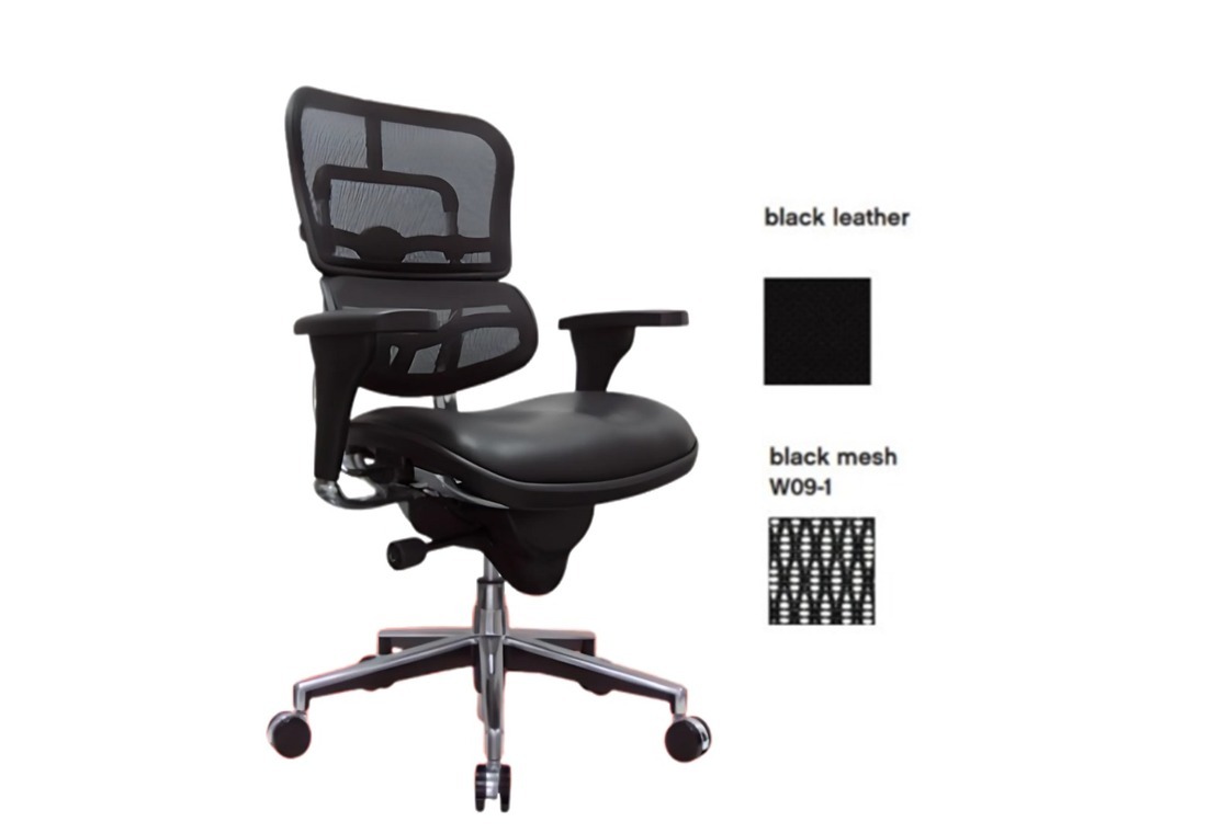 Ergohuman Stock