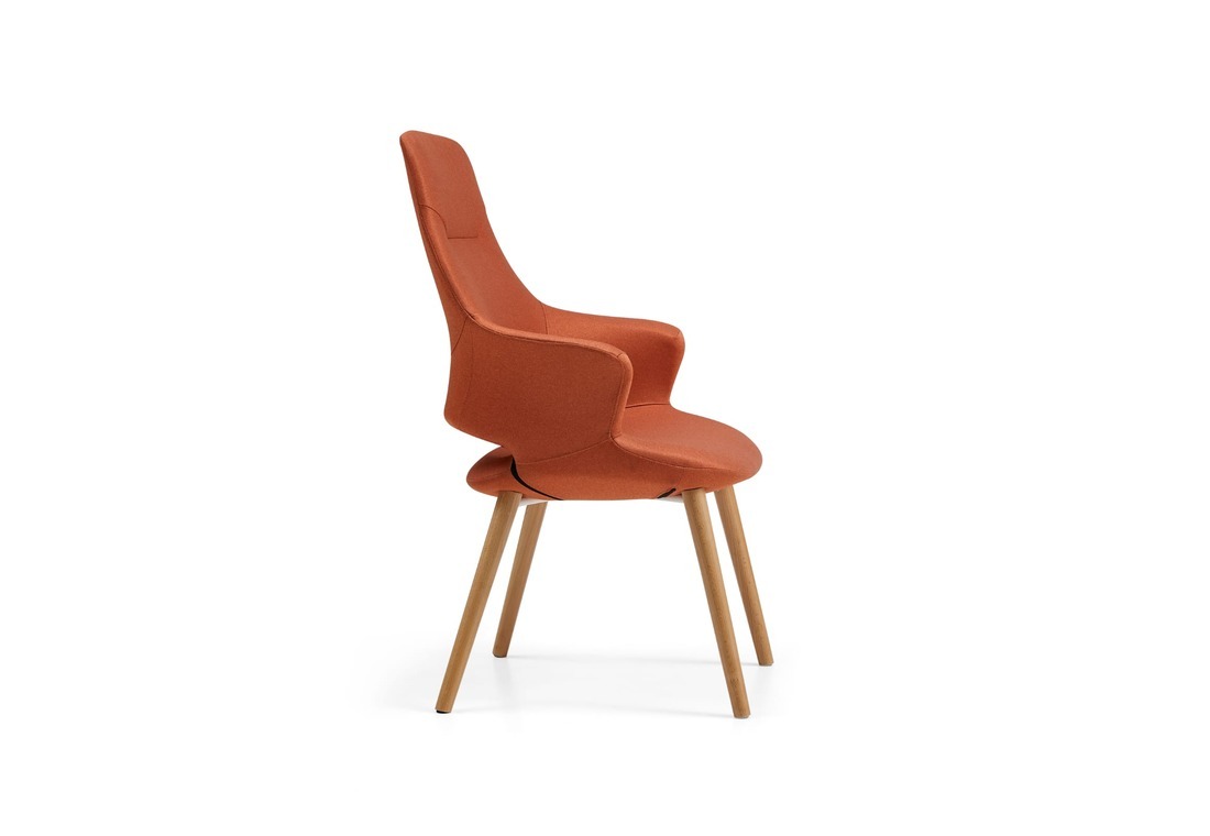 CAT CHAIR 1