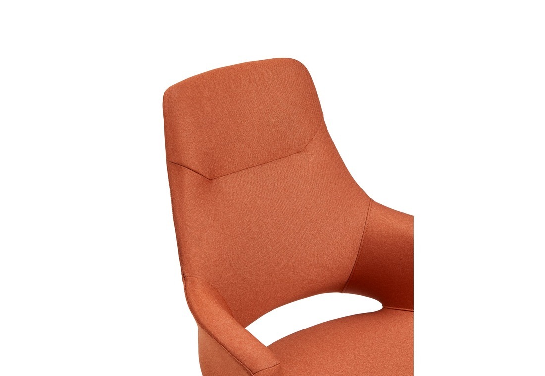 CAT CHAIR 6