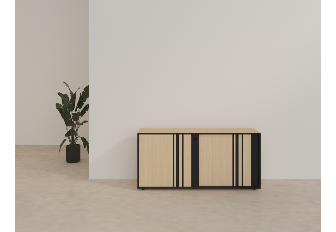 Carrera Veneer Cabinet2