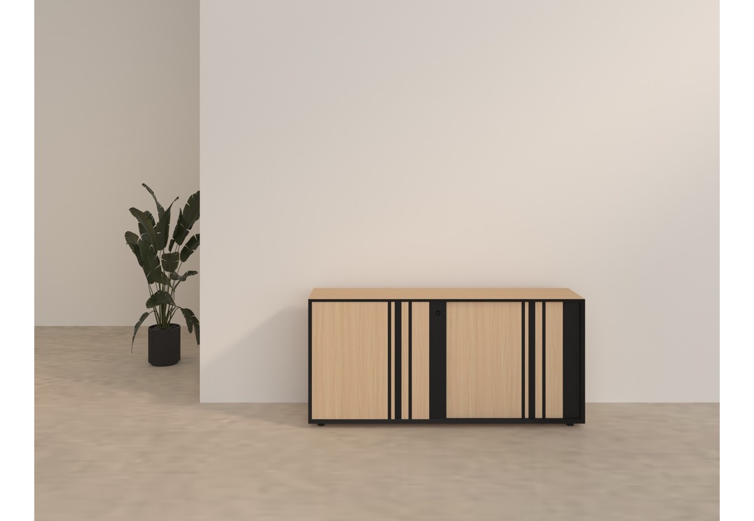 Carrera Veneer Cabinet3
